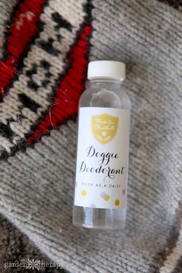 diy doggie deodorant