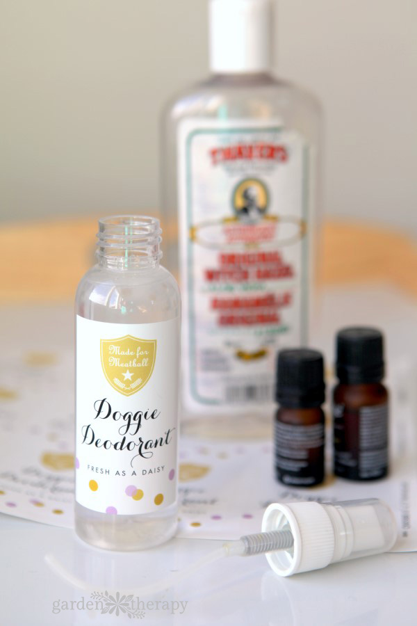 diy doggie deodorant recipe