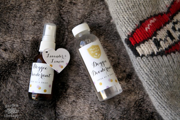 dog deodorant spray