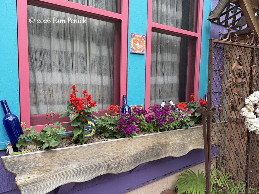 festive color in lucinda hutson's casita garden