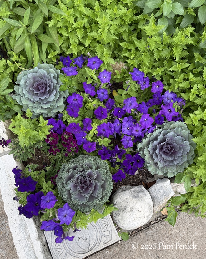 festive color in lucinda hutson's casita garden