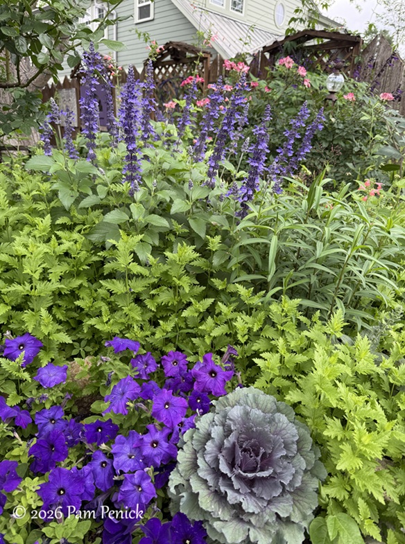 festive color in lucinda hutson's casita garden