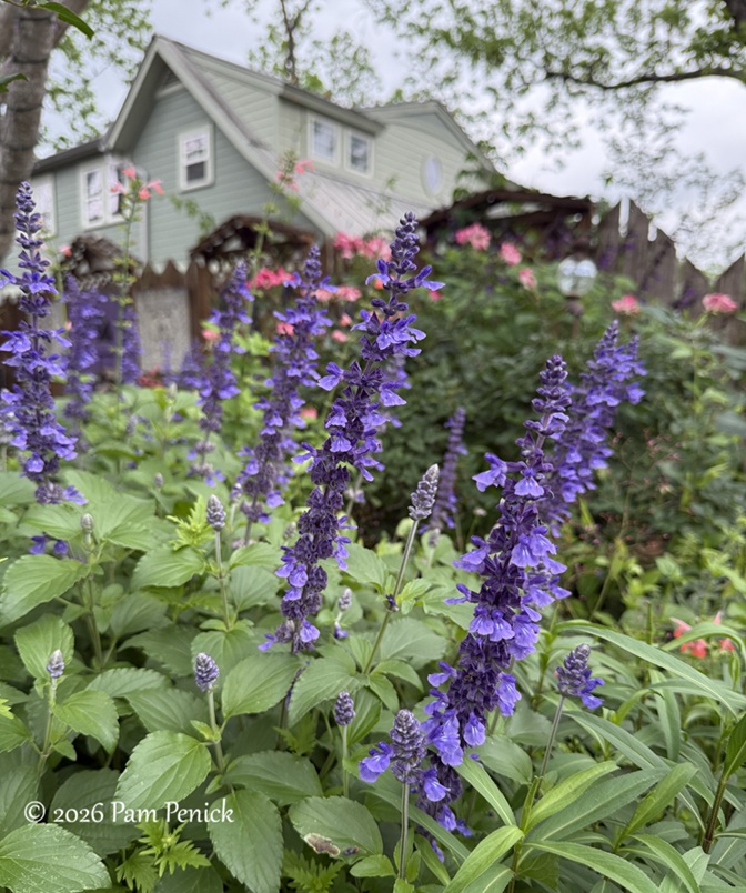festive color in lucinda hutson's casita garden