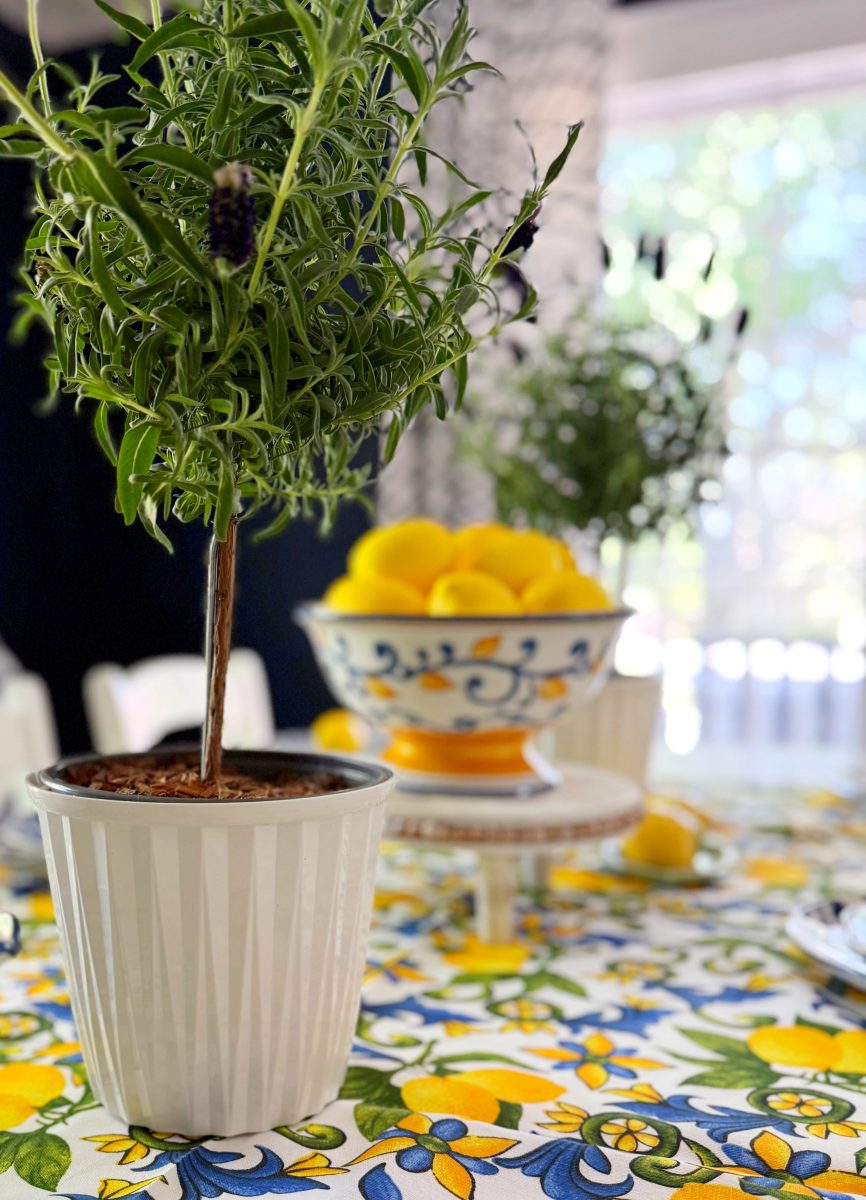 a potted rosemary plant sits on a colorful floral tablecloth. in the blurred background, a decorative bowl is filled with bright yellow lemons, adding a vibrant touch to the scene.