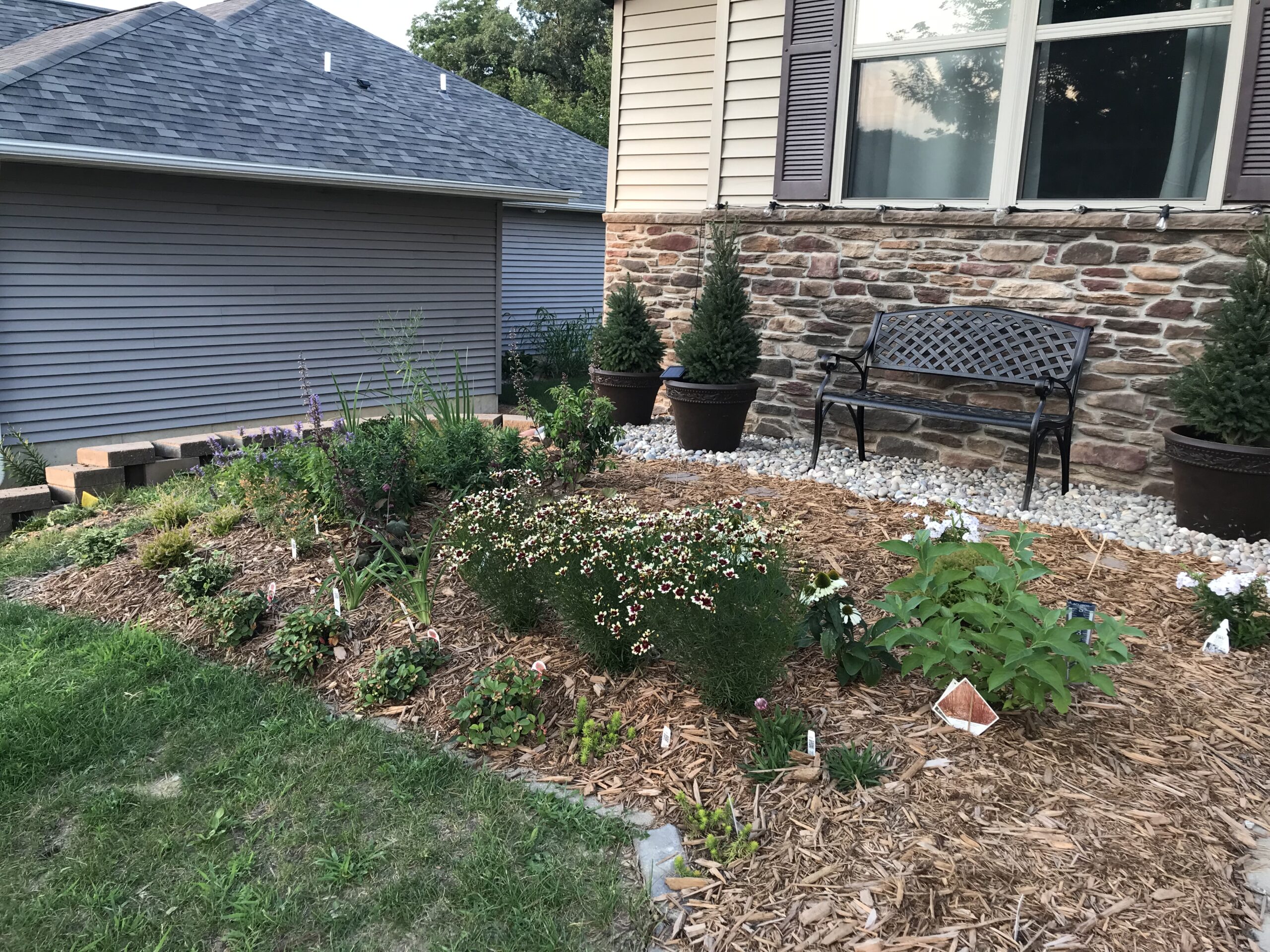 before and after: foliage, flowers, and seasonal interest in jin's iowa garden