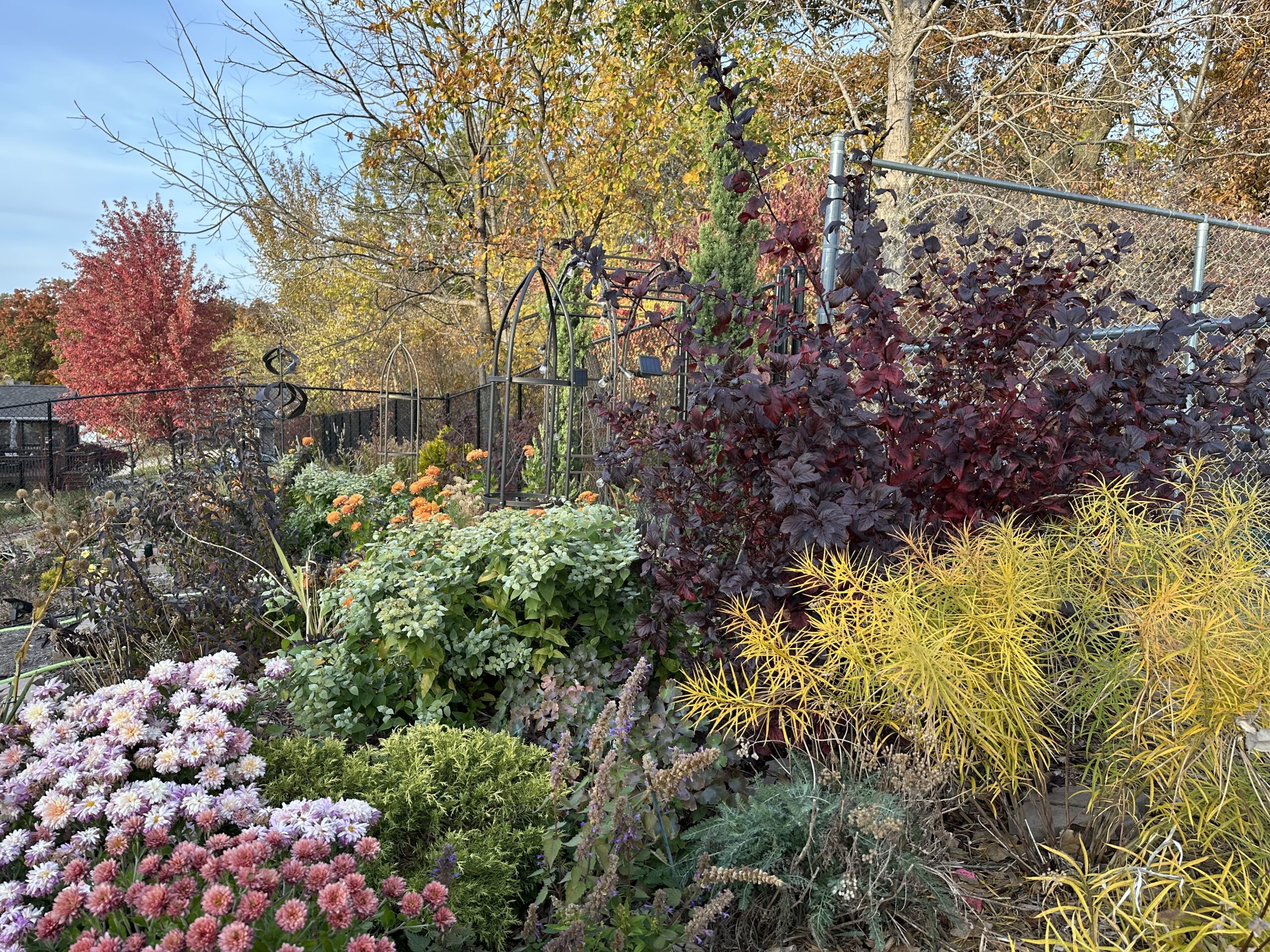 before and after: foliage, flowers, and seasonal interest in jin's iowa garden