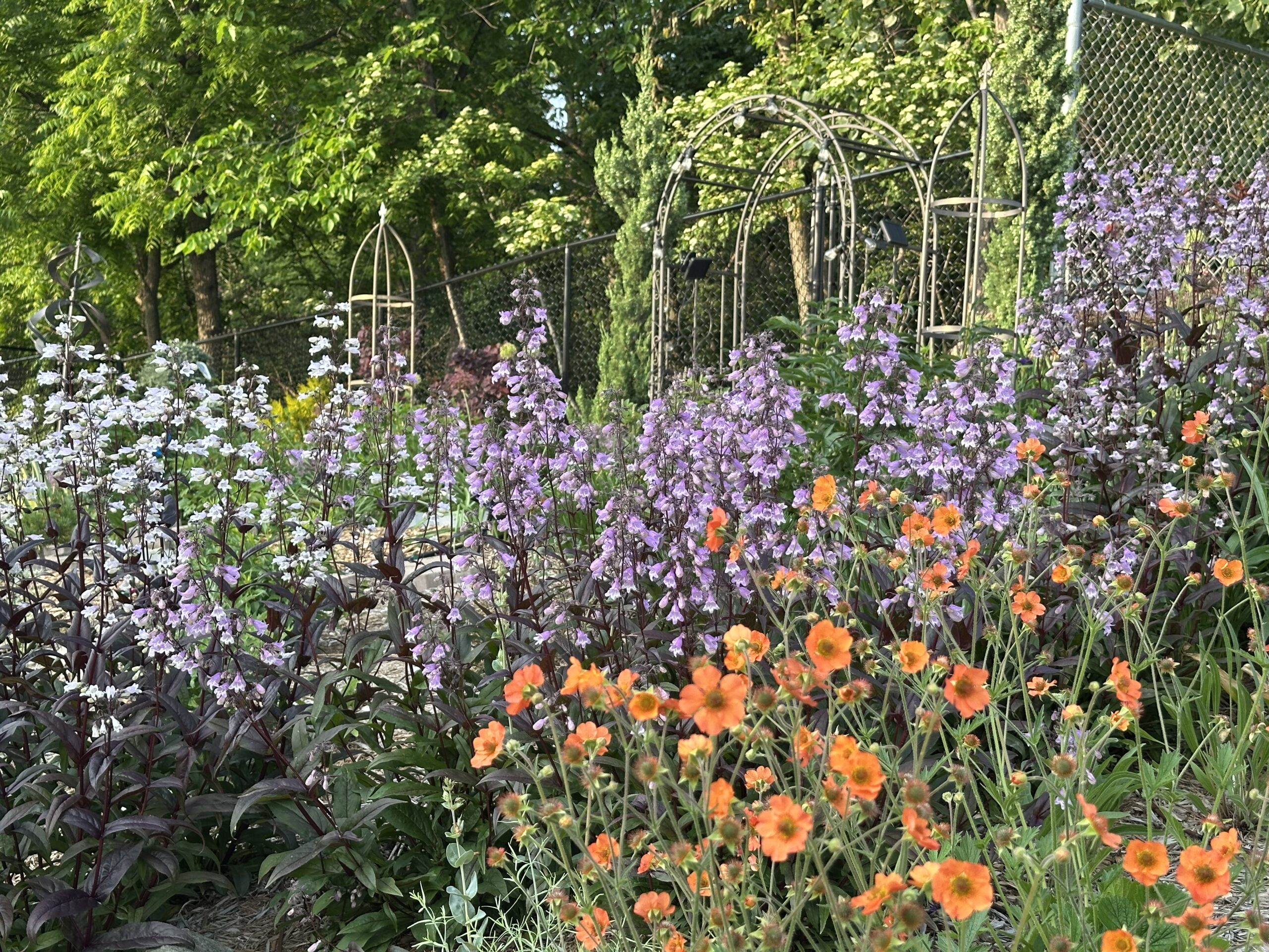 before and after: foliage, flowers, and seasonal interest in jin's iowa garden