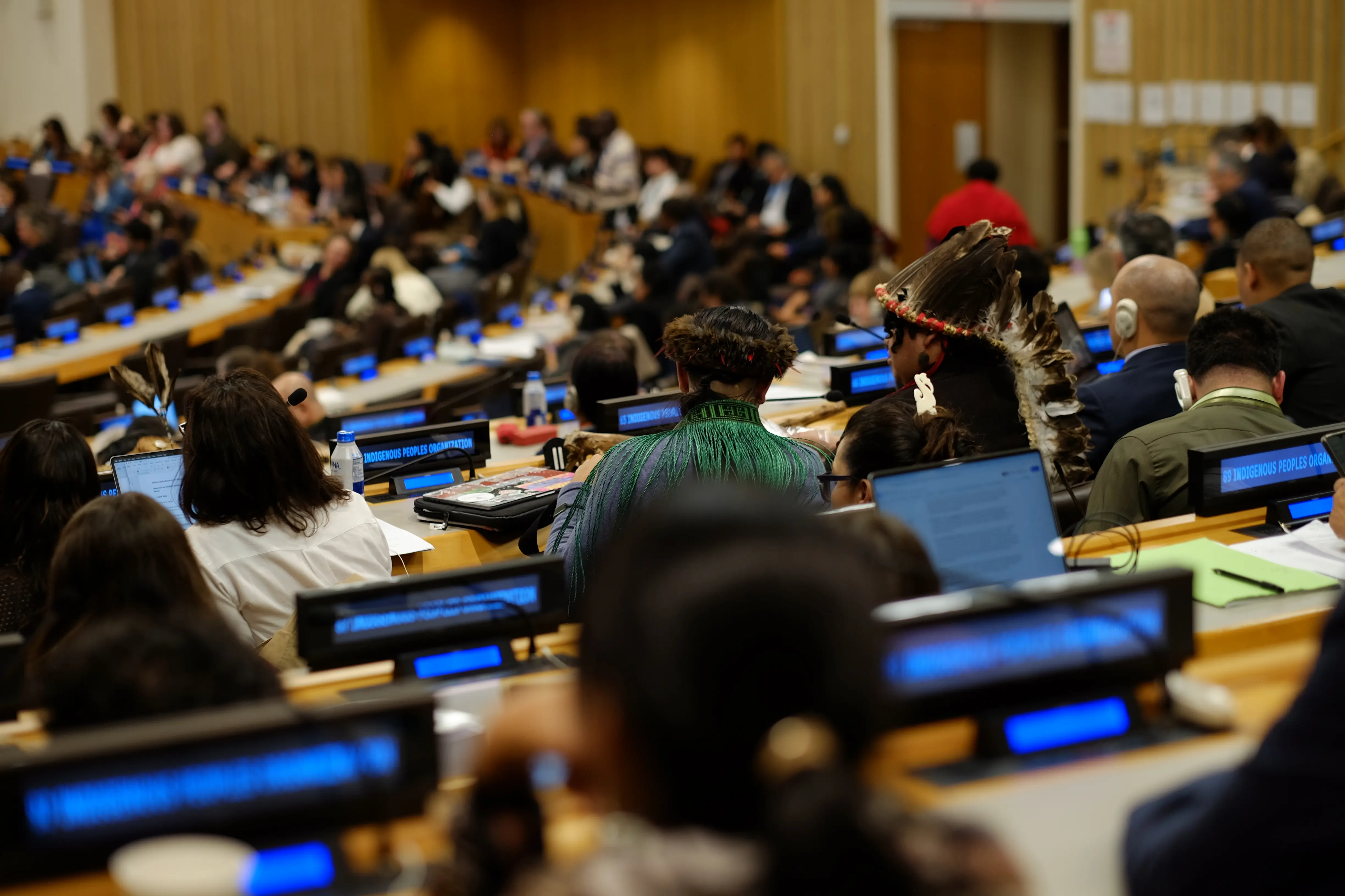 indigenous land protection