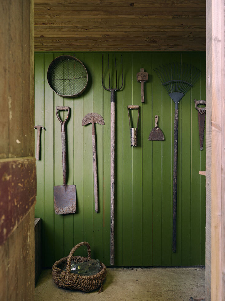 found tools against a springy green backdrop at sarah
