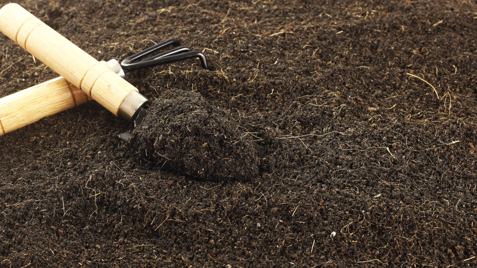 dark, loose soil with a hole dug out and a yellow-handled trowel placed beside it.