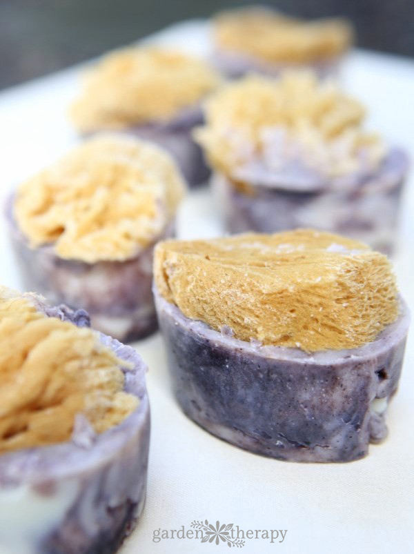 learn how to make organic-looking handmade sea sponge soap topped with natural sea sponges for a gorgeous soap that lathers up beautifully.