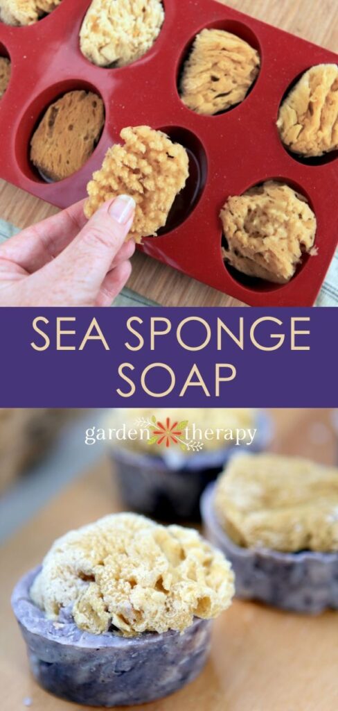 handmade sea sponge soap bars