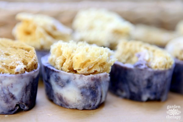 learn how to make organic-looking handmade sea sponge soap topped with natural sea sponges for a gorgeous soap that lathers up beautifully.