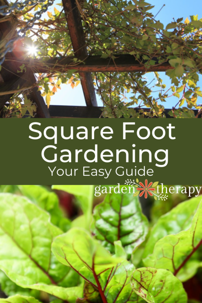 pin image for your easy guide to square foot gardening