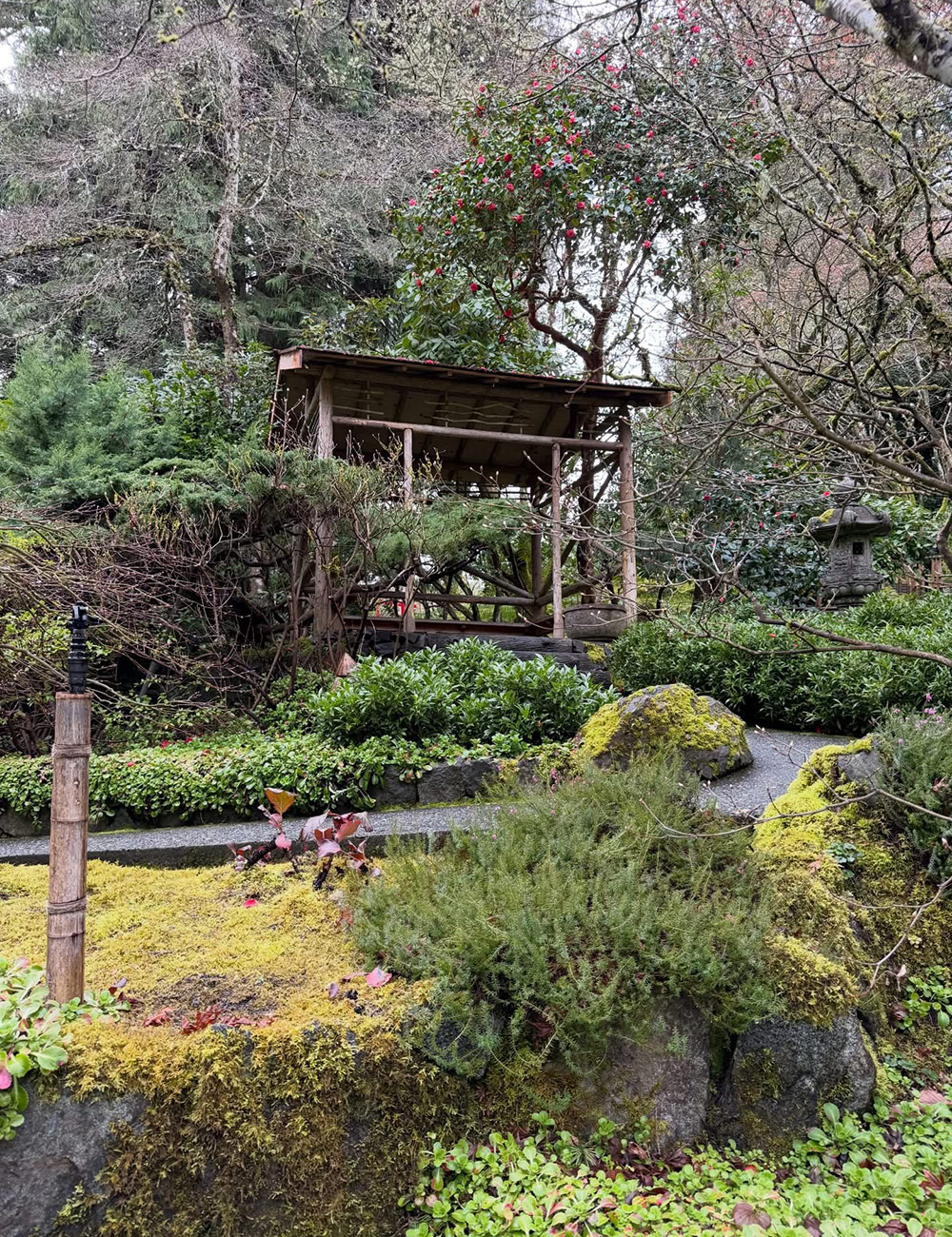 pergola in japanese garden
