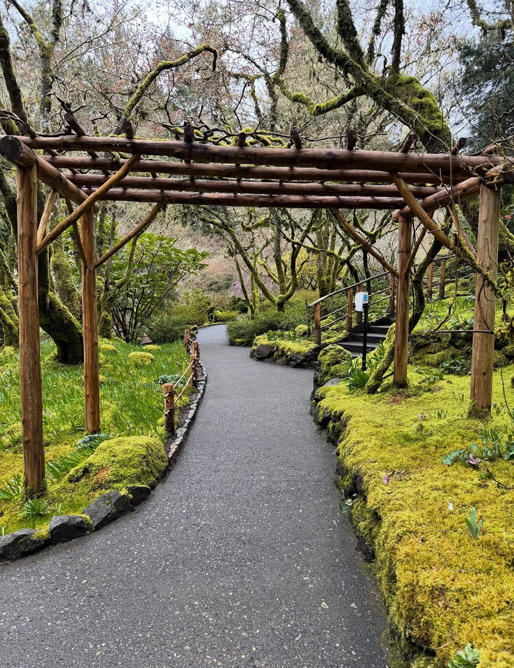 bamboo arbor over path in japanese garden