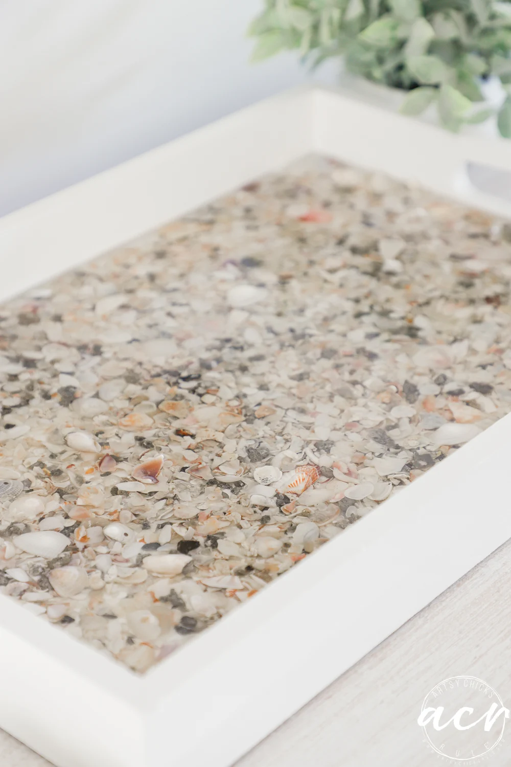 a white rectangular tray from a thrift shop, filled with small seashells and pebbles set in clear resin, rests on a light surface with green leaves visible in the background.