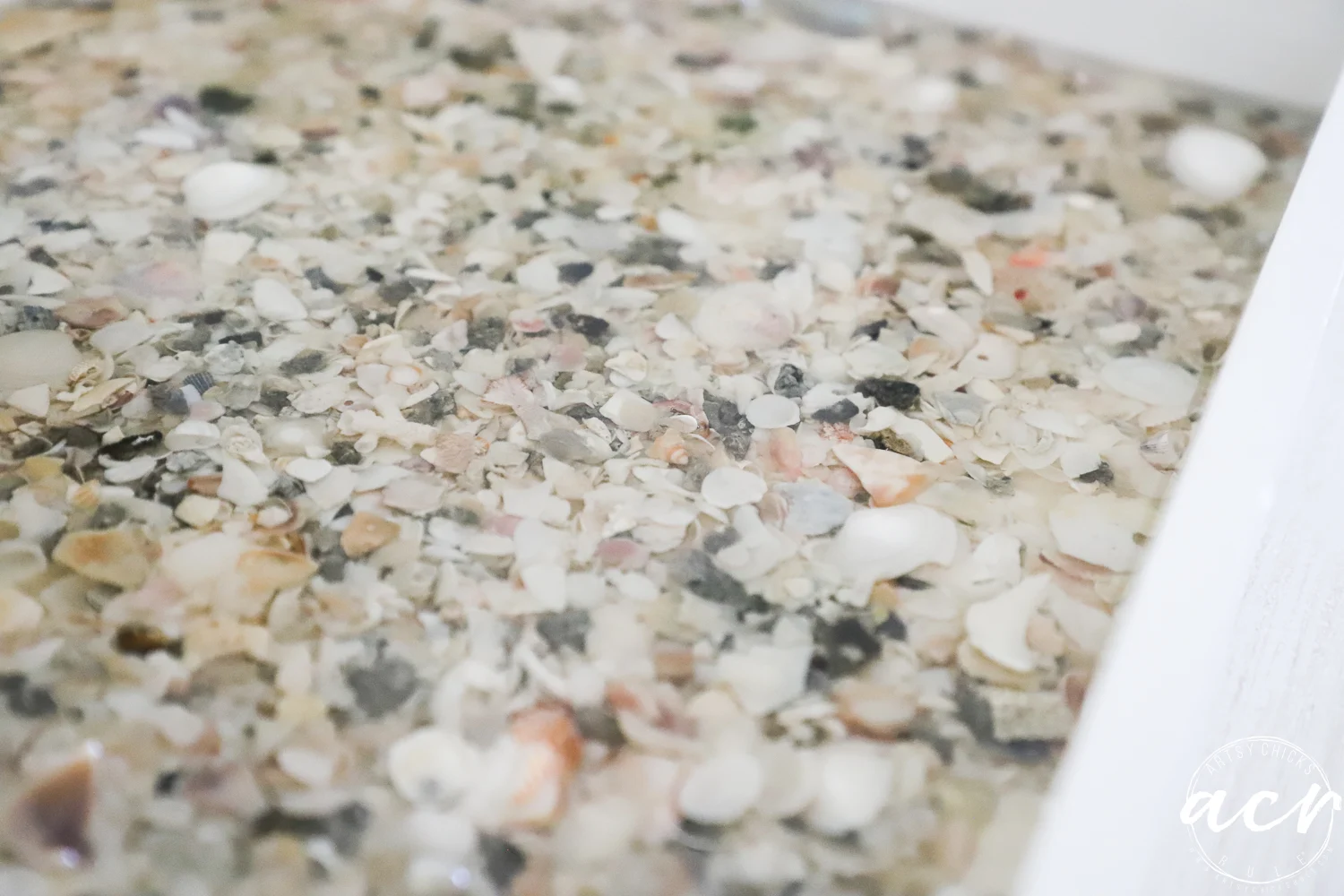 a close-up of a shallow tray filled with small, broken seashells and pieces of coral submerged in clear water. the image is softly focused and has a light, neutral background, evoking the curated detail of a thrift shop find.
