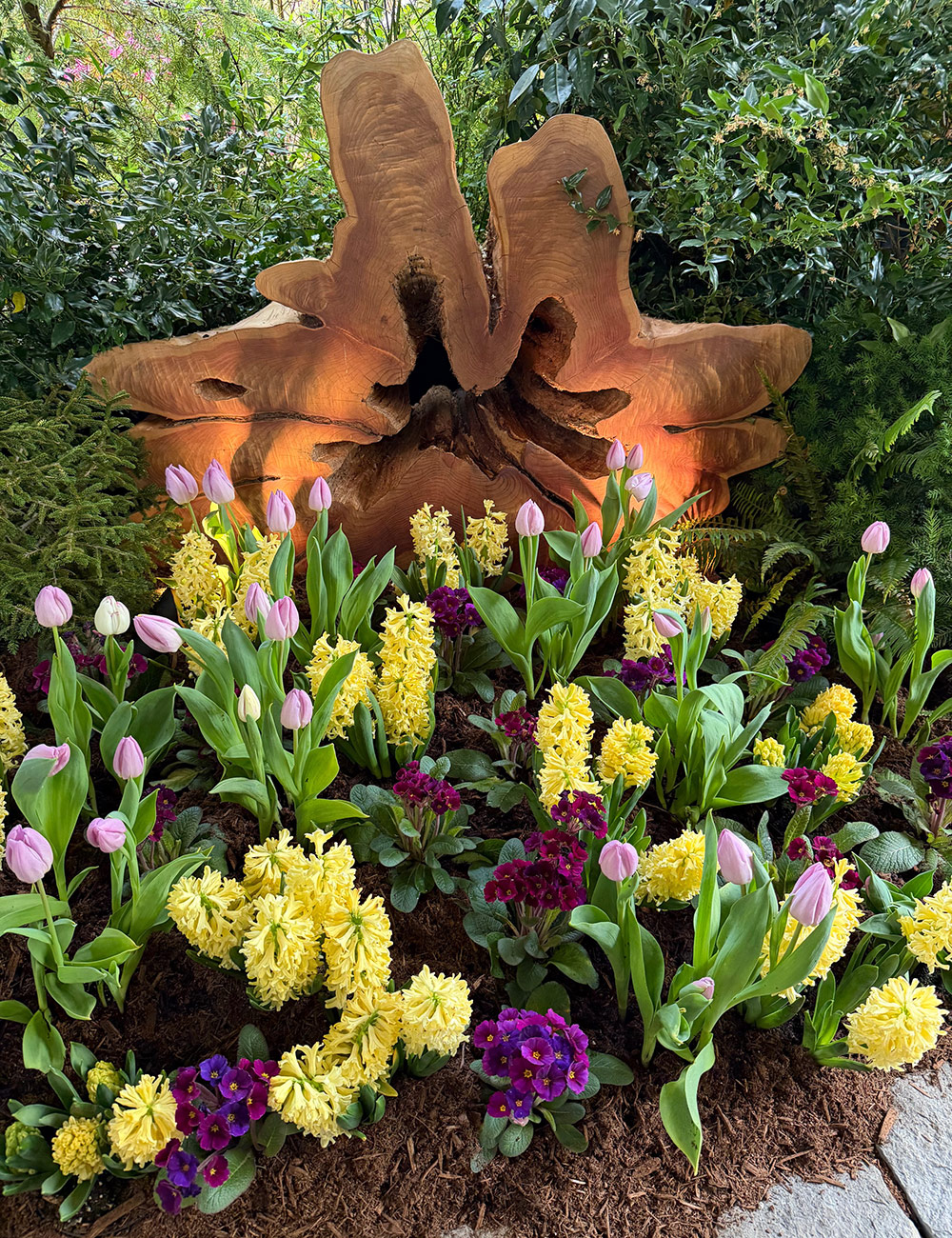 spring bulbs