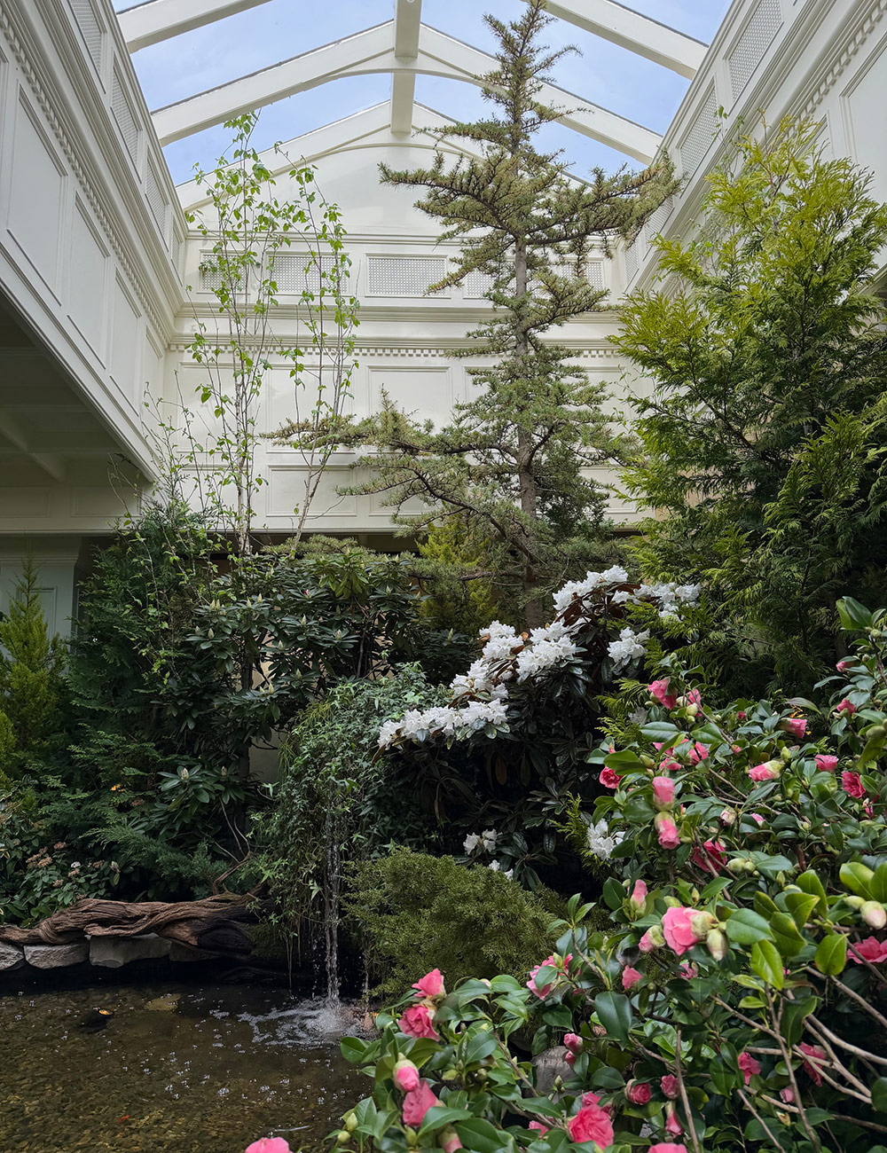 conservatory garden