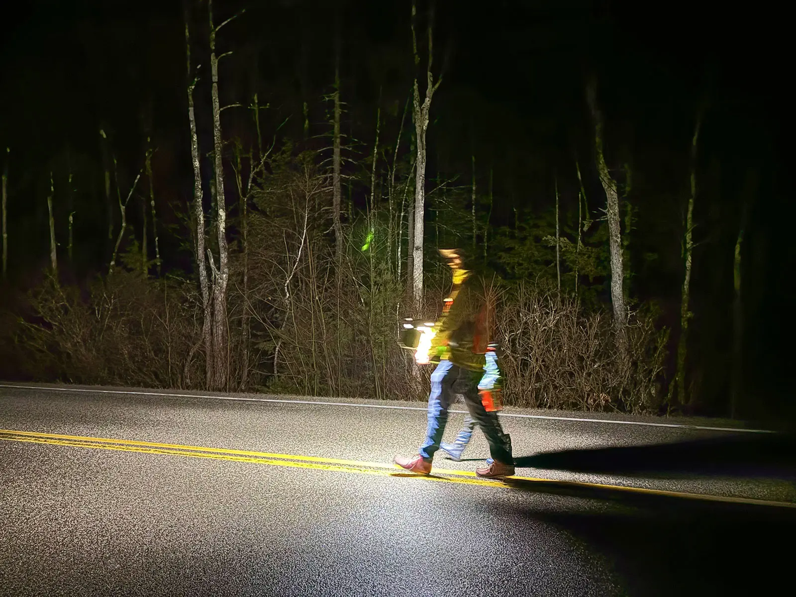 a father and son look for amphibians to assist.