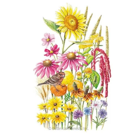 songbird delight flower mix seeds