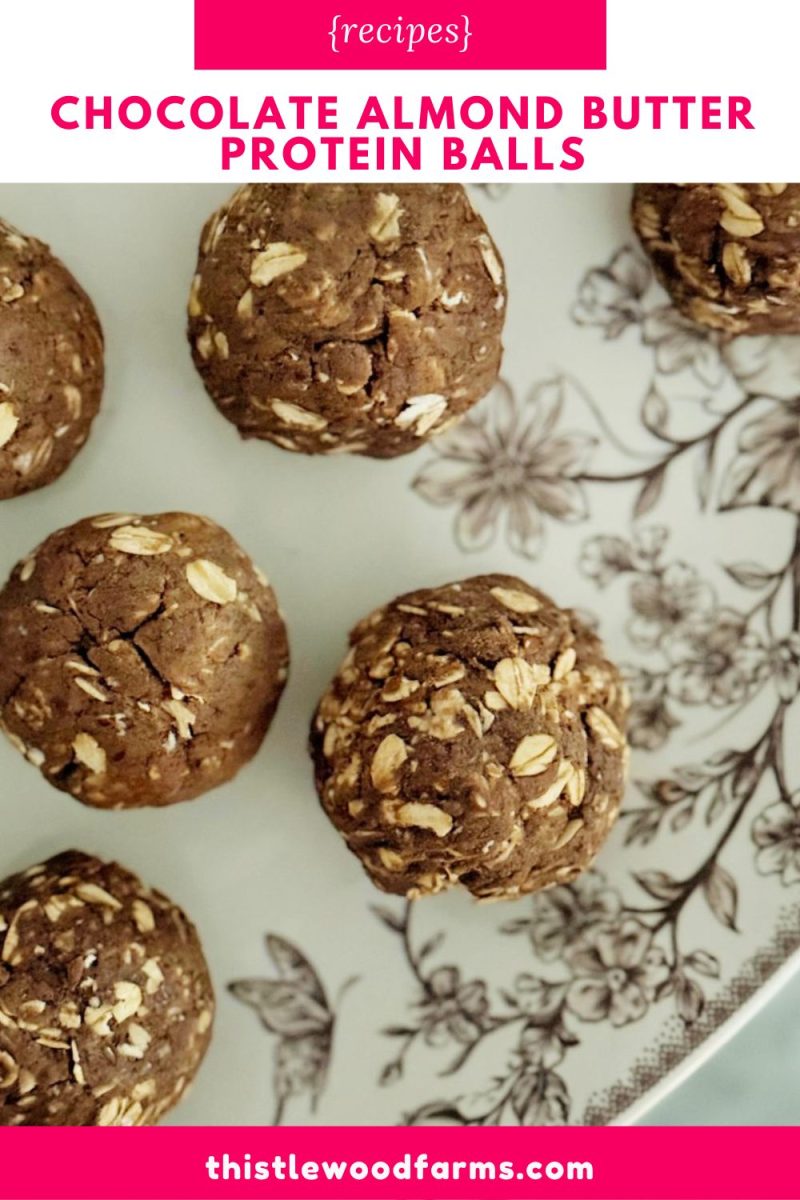 six chocolate almond butter protein balls, some with oats visible, are arranged on a floral-patterned plate. the image is overlaid with the text “chocolate almond butter protein balls” and a website url at the bottom.