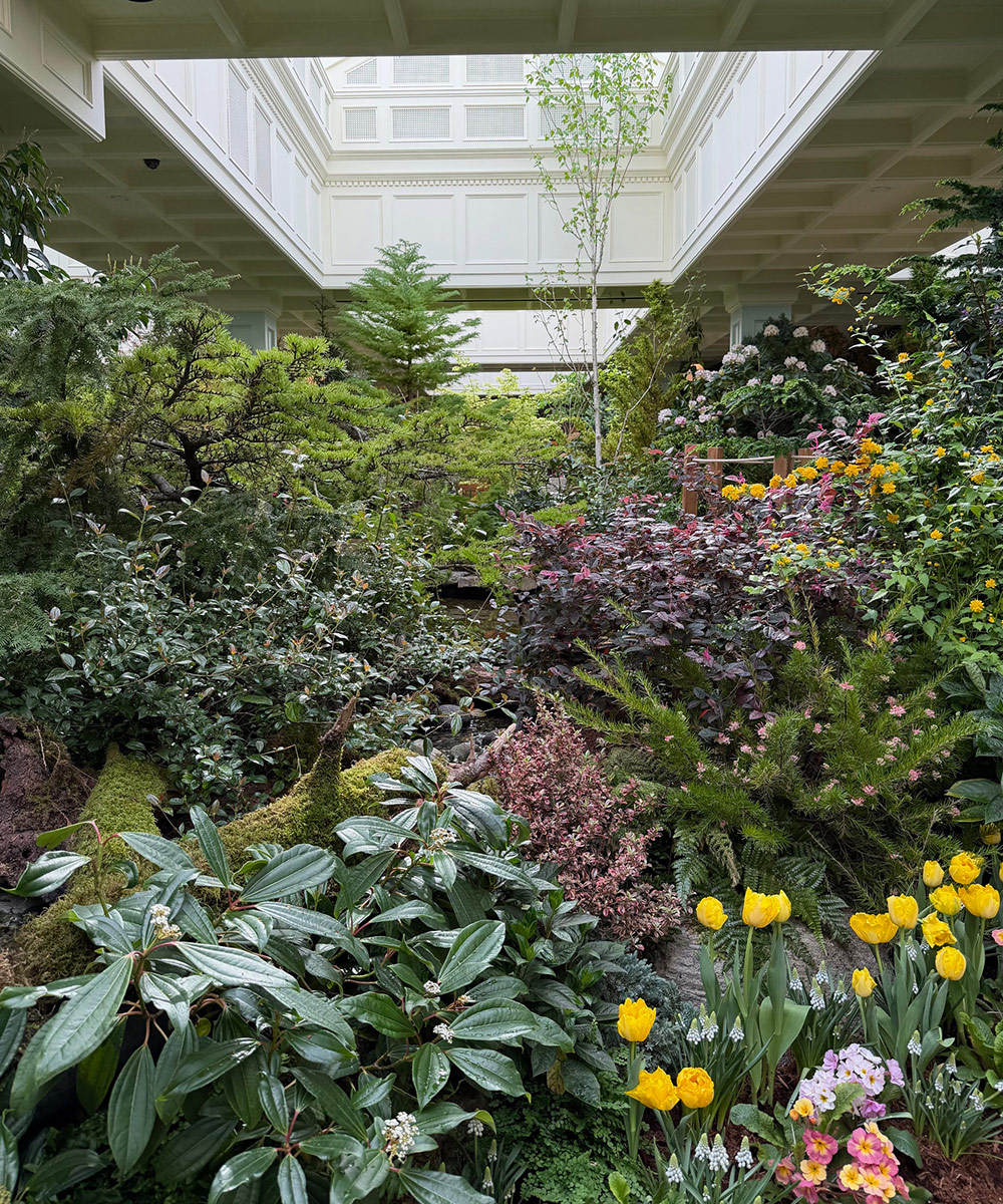 indoor garden display