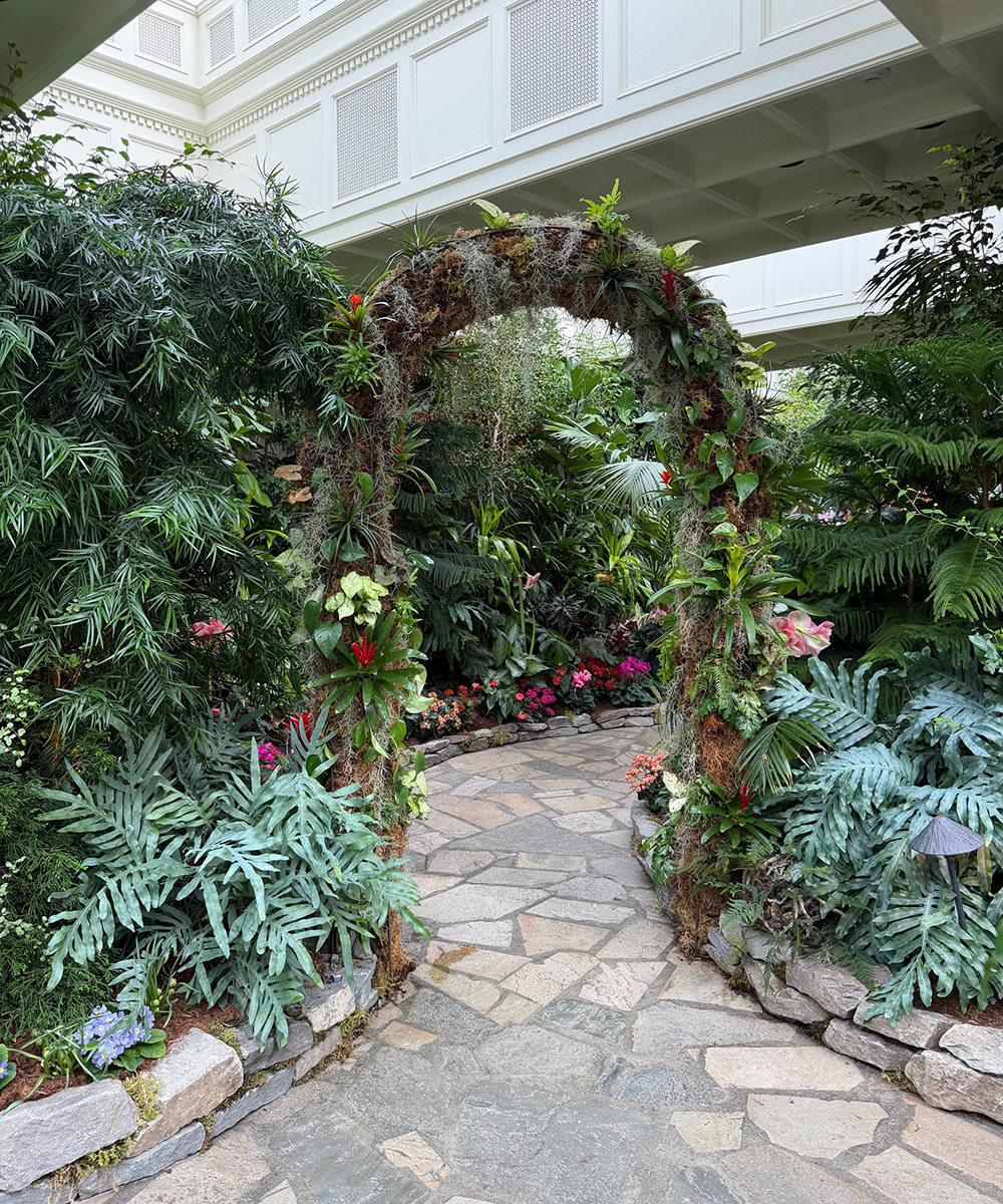 arbor covered in tropical plants