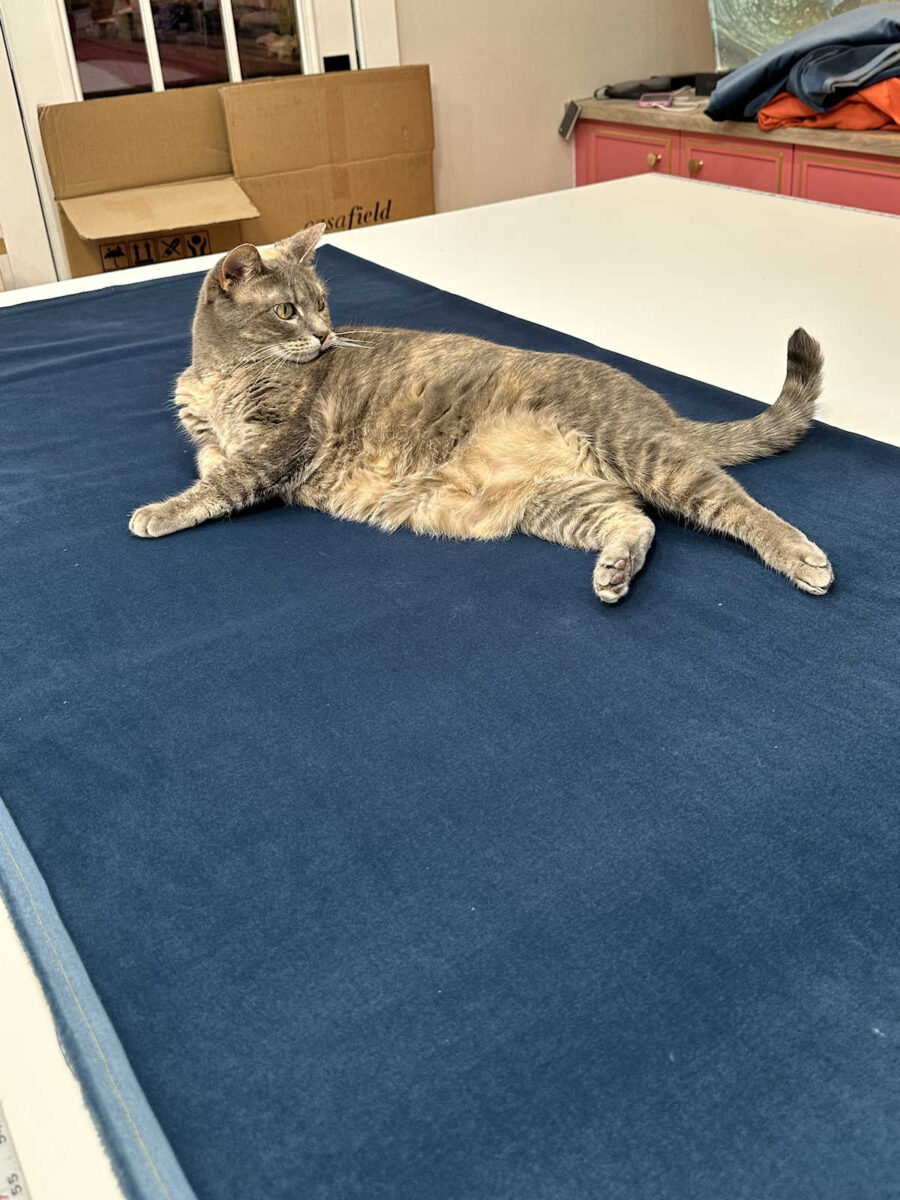 life with tiger (an update)