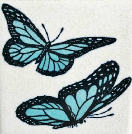 i salvaged one butterfly tile from the old bathroom- to not forget my roots.