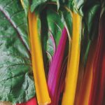 RHS Award of Garden Merit Vegetables RHS Award of Garden Merit Vegetables