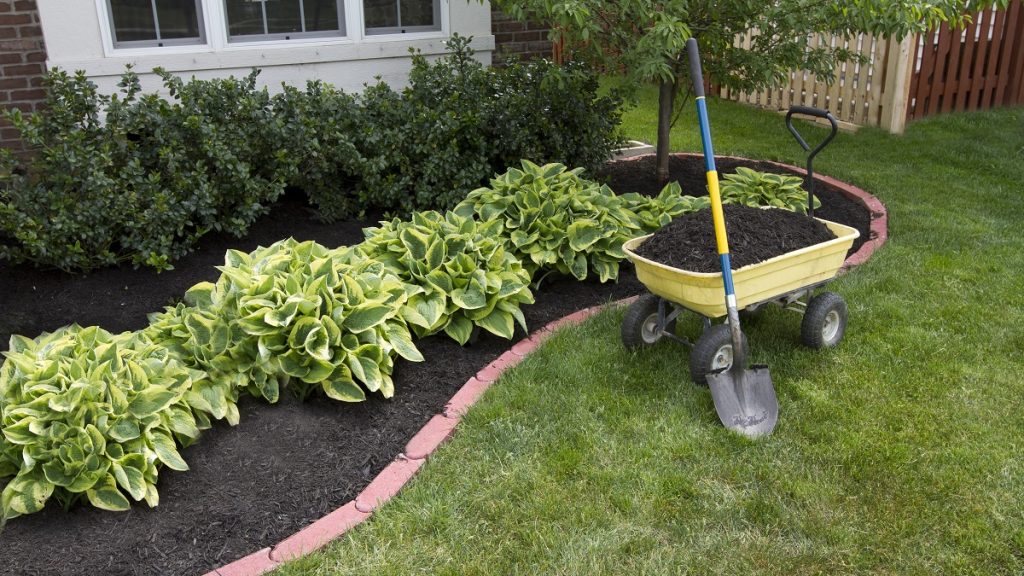Infographic: Tips for an Environmentally Responsible, Low-Maintenance Yard