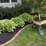 Infographic: Tips for an Environmentally Responsible, Low-Maintenance Yard
