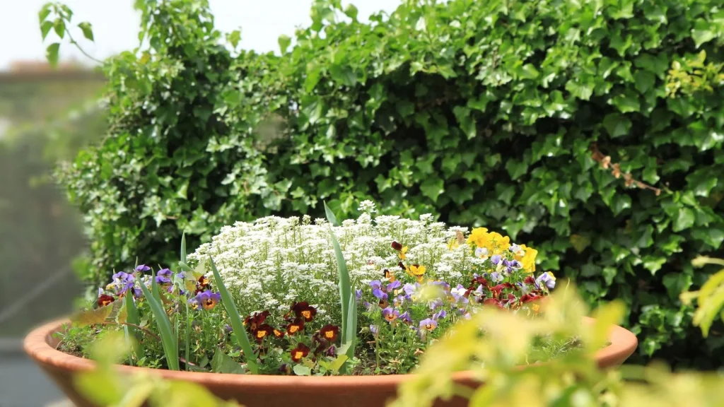 7 Spring Container Combinations That Look Planted By a Pro