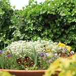 7 Spring Container Combinations That Look Planted By a Pro