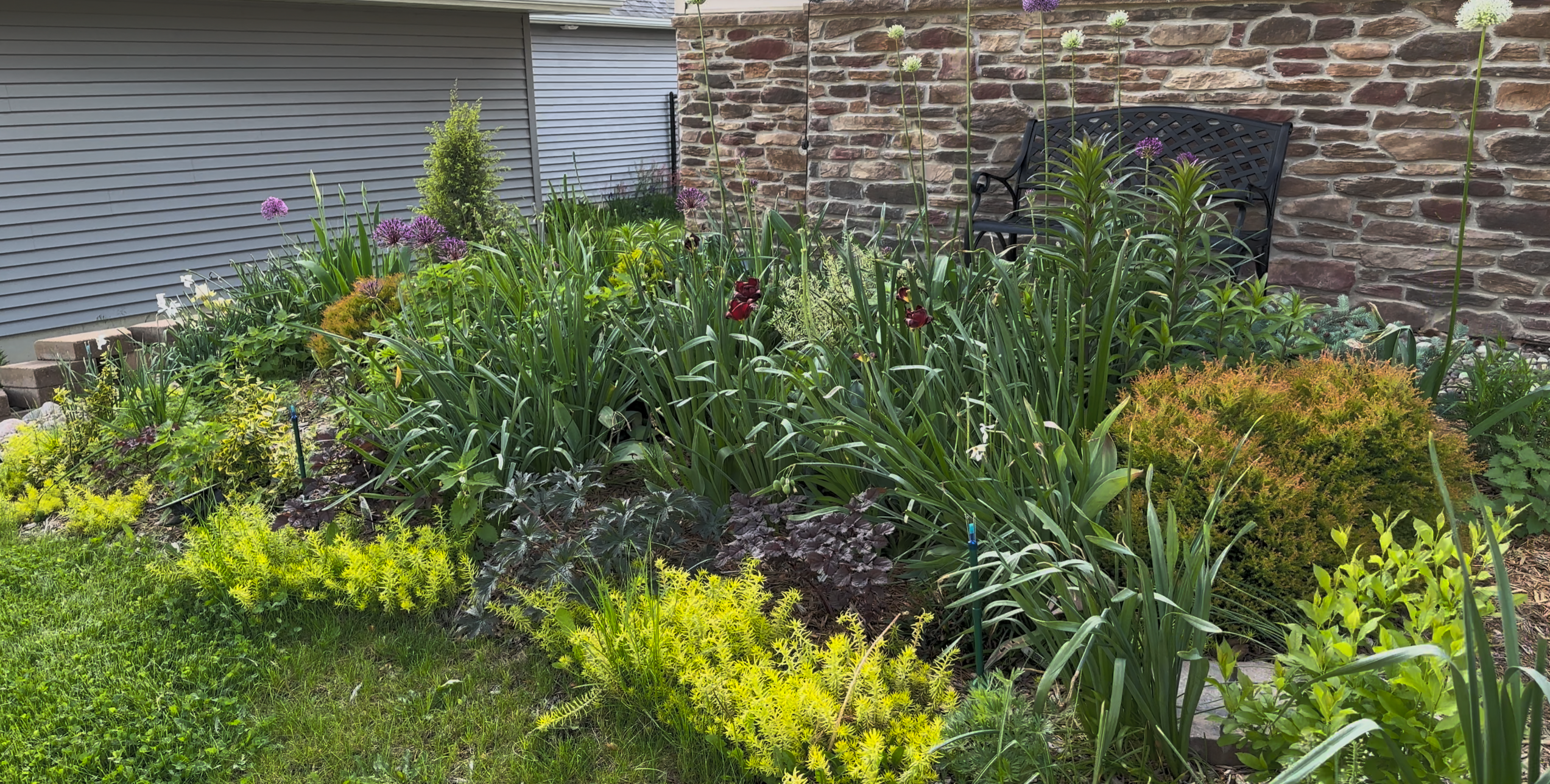 before and after: foliage, flowers, and seasonal interest in jin's iowa garden