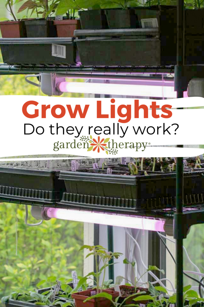 do grow lights for indoor plants work? (and are they worth it?)
