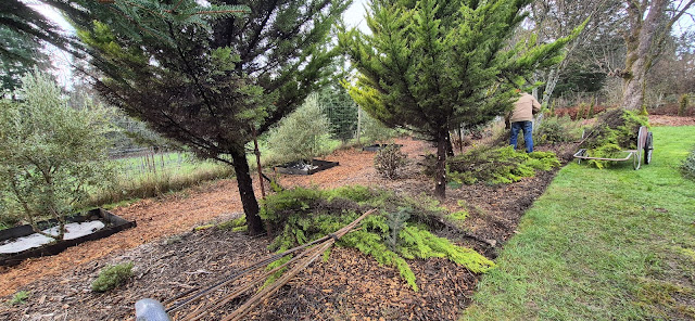 evolution of a garden border