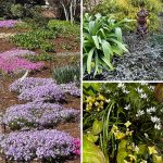 It is Time to Celebrate Spring!