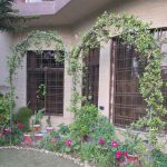 azam’s flowers in pakistan – fine gardening