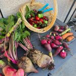 Dawn’s Blue Ribbon Garden in Arizona