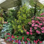 cherry’s tour of the butchart gardens: the spring prelude garden, part 2