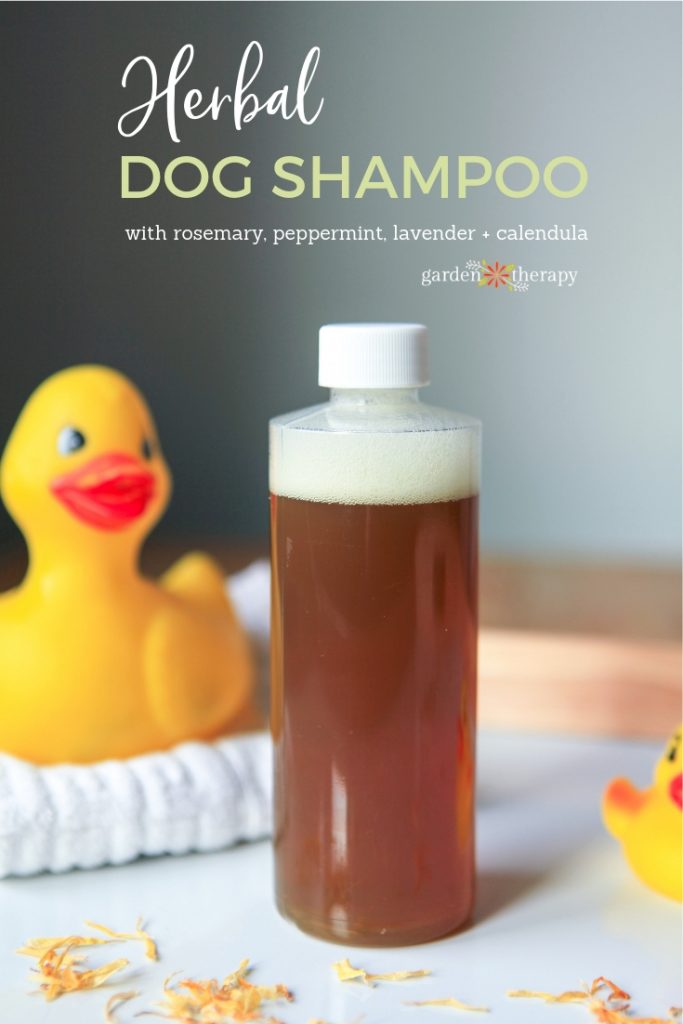 herbal dog shampoo with rosemary, peppermint, lavender and calendula