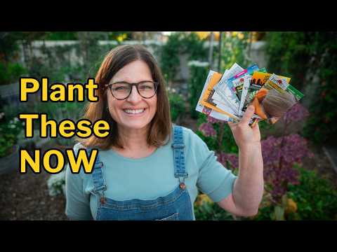 hot weather crops to plant from seed this summer 1 youtube video