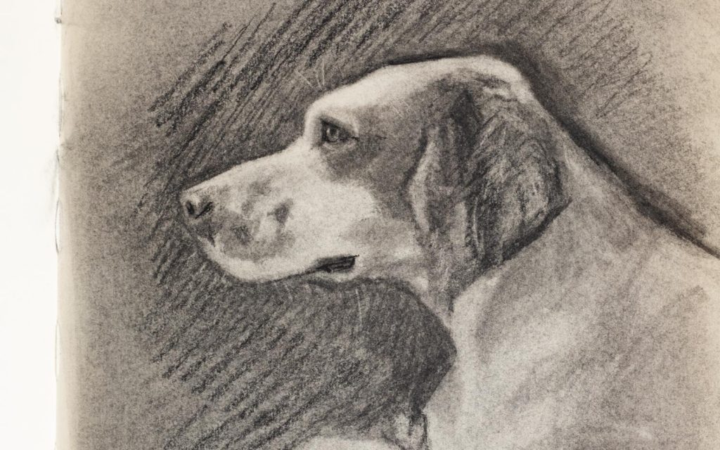 criticism & what makes you an artist