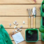 How to Start Squash Seeds Indoors