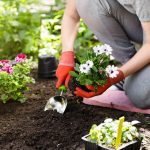 The Best Places To Store Your Gardening Tools The Best Places To Store Your Gardening Tools