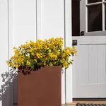 rhonda's spring garden in pennsylvania