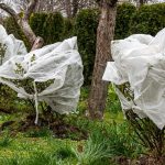 How to Protect New Plants From a Late Spring Frost How to Protect New Plants From a Late Spring Frost